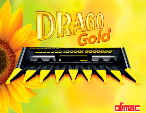 Drago Gold